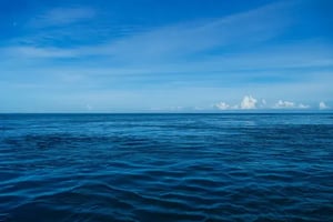 Deep blue sea like high functioning complex trauma