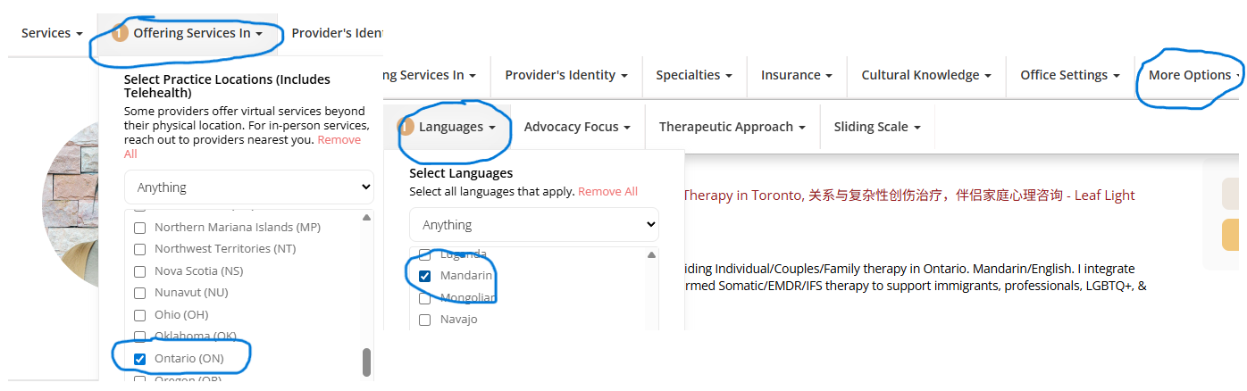 Inclusive Therapists专业咨询师目录中的安省华人中文心理咨询师