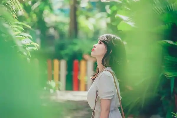 创伤知情中文心理咨询给你带来希望和疗愈