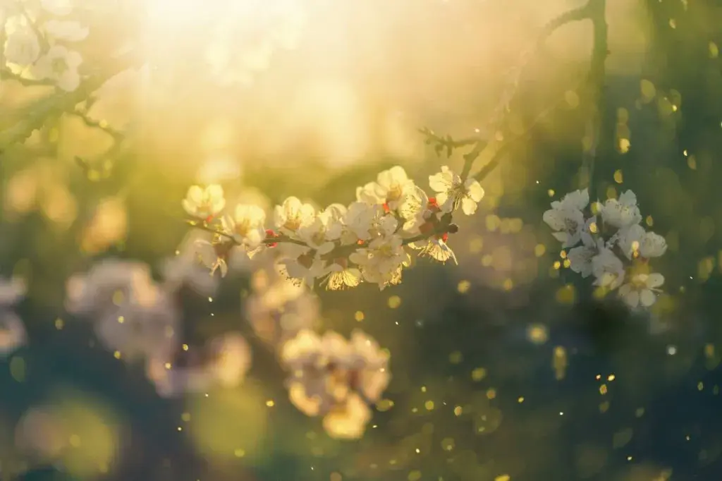 在多伦多心理咨询中疗愈复杂性创伤与解离